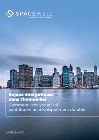 Enjeux Énergétiques dans l'Immobilier [Guide] | Spacewell Energy by Dexma