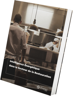 Guide gratuit Spacewell Energy (Dexma) Comment Économiser de l'Énergie dans la Restauration