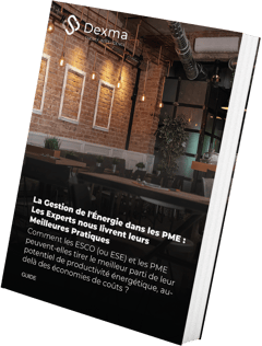 Gestion de l'Énergie pour les PME [Guide] | Spacewell Energy by Dexma