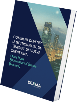 Utilities : Devenez le Gestionnaire D'Énergie de votre Client [Guide] | Spacewell Energy by Dexma